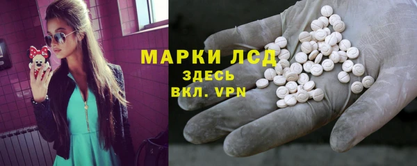 спиды Бородино