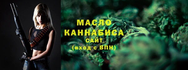 спиды Бородино
