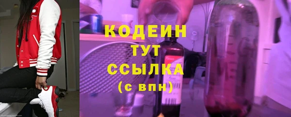 спиды Бородино