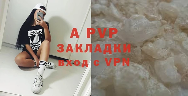спиды Бородино