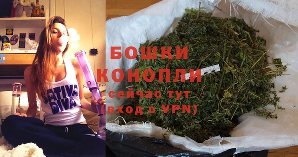спиды Бородино
