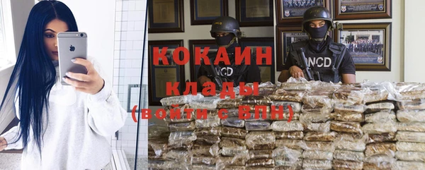 спиды Бородино