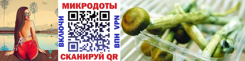 купить закладку Разумное Псилоцибиновые грибы Psilocybine cubensis